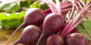 Kırmızı pancar: kök sebzelerin kraliçesinin faydalı özellikleri Kırmızı pancarla tedavi