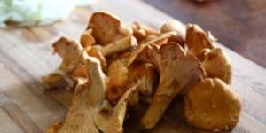 퍼프 페이스트리로 만든 버섯 (살구 버섯) 파이 살구 버섯 파이 단계별 레시피