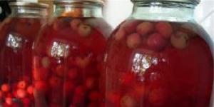 Kompot cherry plum untuk musim dingin - membuat olahan aromatik Kompot cherry plum adalah resep paling enak
