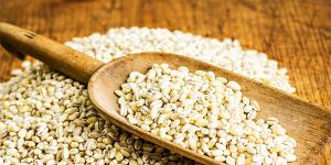 سالم ترین فرنی ها کدامند: گندم سیاه، برنج، جو مروارید یا ارزن؟